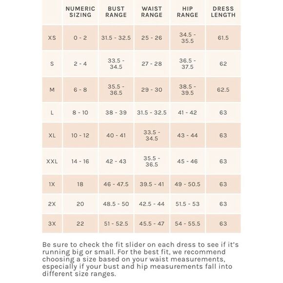 Birdy Grey Kaia Cabernet Chiffon Dress M NEW Bridesmaid Formal Prom Flowy - Picture 6 of 7